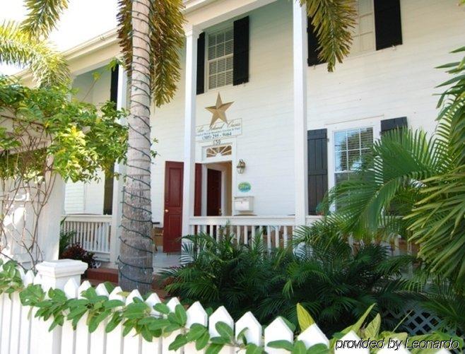 Kona Kai Oasis Bed & Breakfast Key West Dış mekan fotoğraf